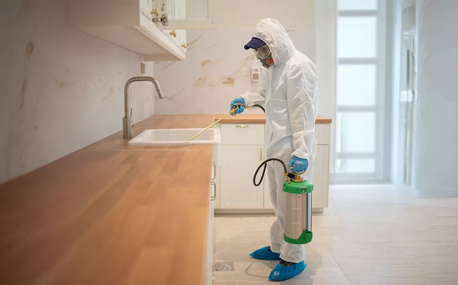 Pest Control Services in Qatar