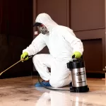 Best Pest Control Services in Qatar