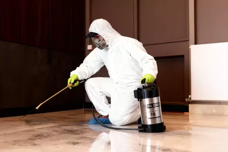 Best Pest Control Services in Qatar