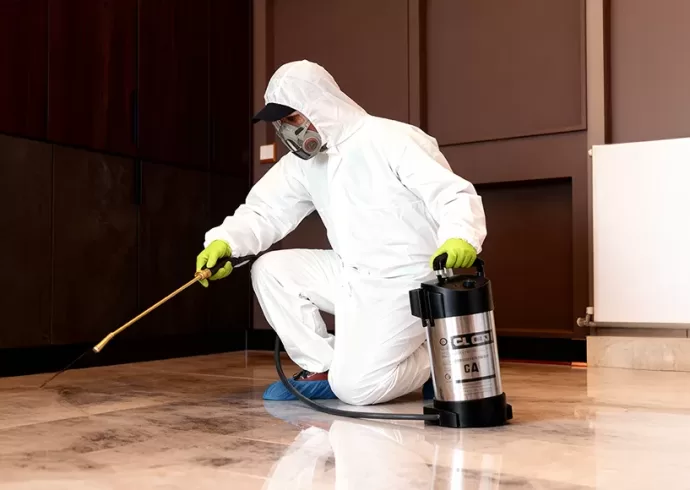 Best Pest Control Services in Qatar